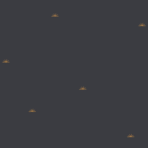 Sunset Night Fabric